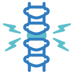 Back pain treatment and spinal adjustment